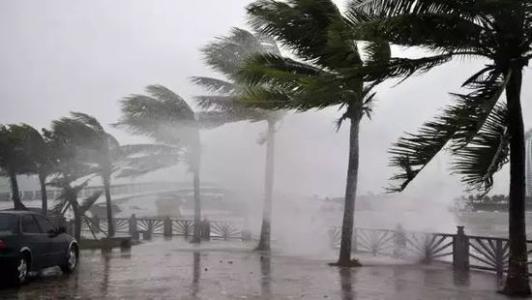 8月臺(tái)風(fēng)雨即將來，除濕機(jī)還得用起來