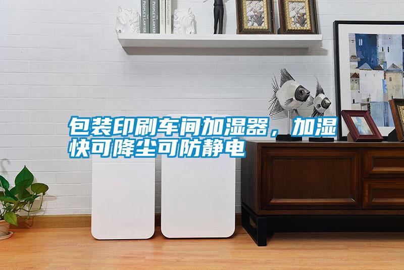 包裝印刷車間加濕器，加濕快可降塵可防靜電