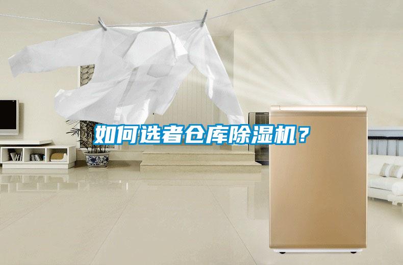 如何選者倉庫除濕機？