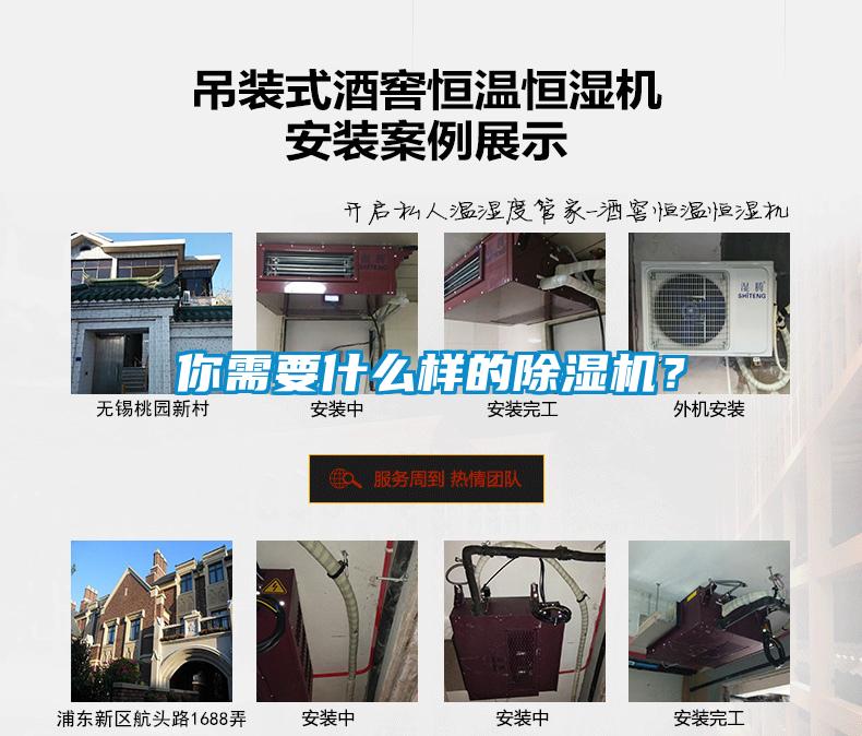 你需要什么樣的除濕機(jī)？