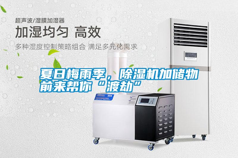 夏日梅雨季，除濕機加儲物前來幫你“渡劫”