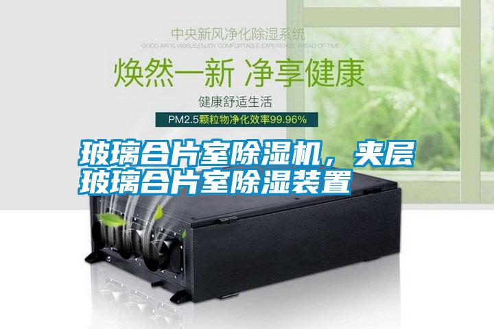 玻璃合片室除濕機(jī)，夾層玻璃合片室除濕裝置