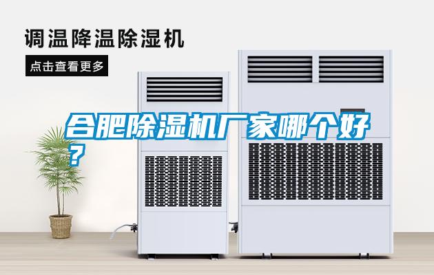 合肥除濕機(jī)廠家哪個(gè)好？