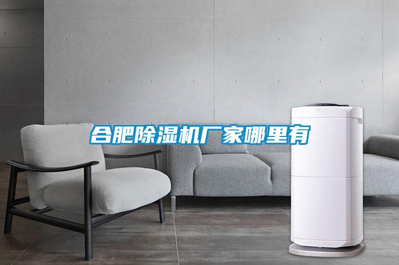 合肥除濕機(jī)廠(chǎng)家哪里有