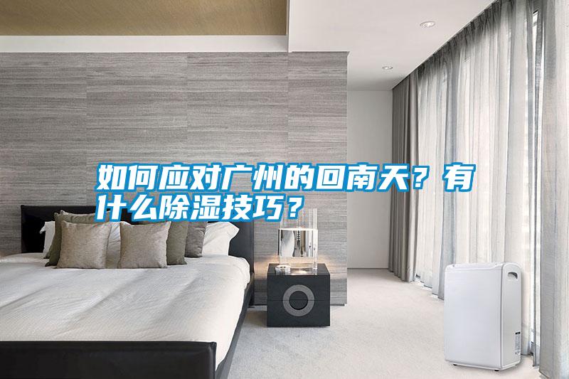 如何應(yīng)對廣州的回南天？有什么除濕技巧？