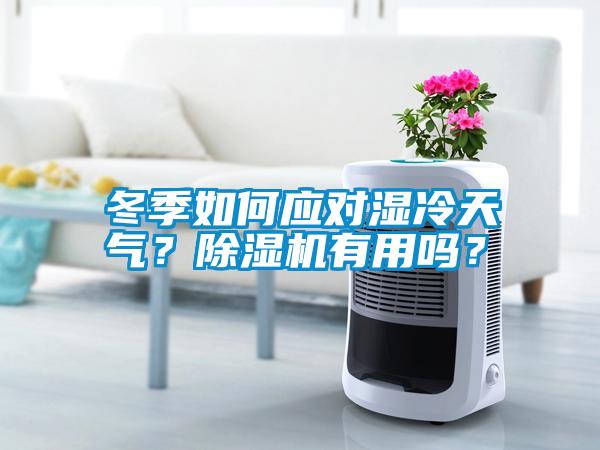 冬季如何應(yīng)對濕冷天氣？除濕機(jī)有用嗎？
