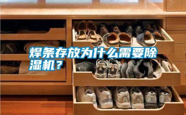 焊條存放為什么需要除濕機(jī)？
