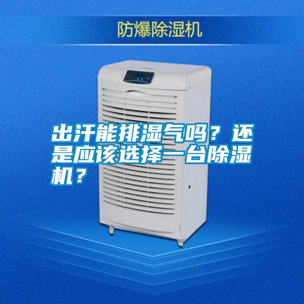 出汗能排濕氣嗎？還是應(yīng)該選擇一臺(tái)除濕機(jī)？