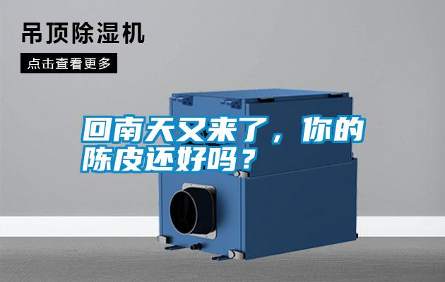 回南天又來了，你的陳皮還好嗎？