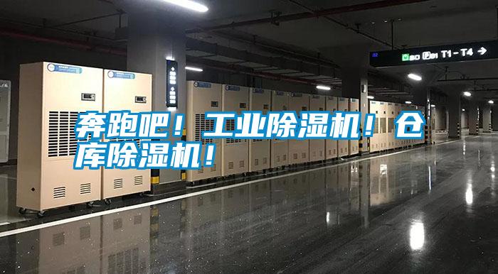 奔跑吧！工業(yè)除濕機！倉庫除濕機！