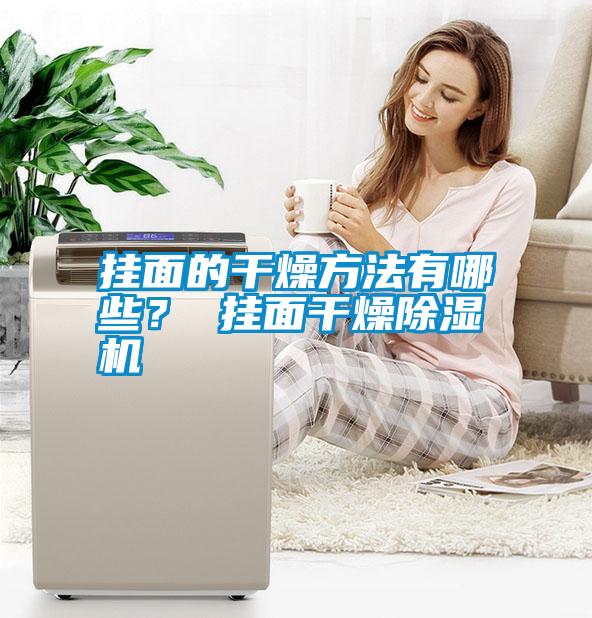 掛面的干燥方法有哪些？ 掛面干燥除濕機(jī)