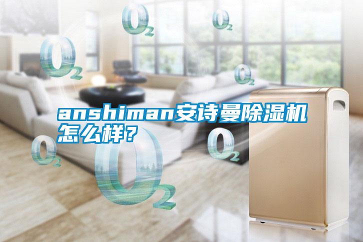 anshiman安詩曼除濕機怎么樣？