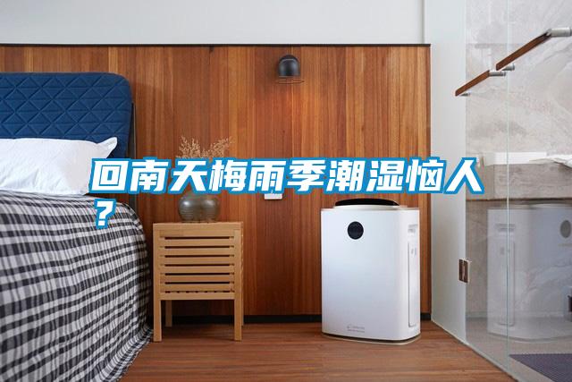 回南天梅雨季潮濕惱人？