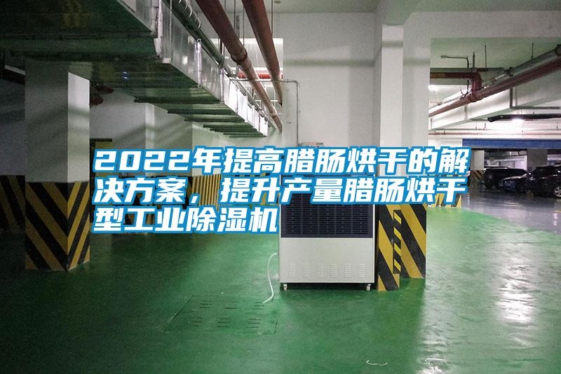 2022年提高臘腸烘干的解決方案，提升產(chǎn)量臘腸烘干型工業(yè)除濕機(jī)