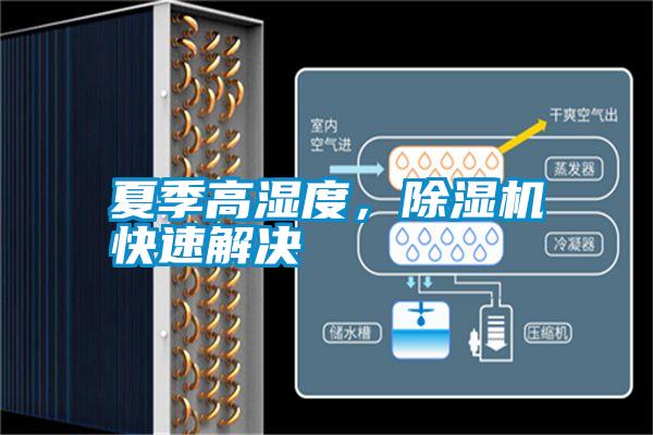 夏季高濕度，除濕機(jī)快速解決