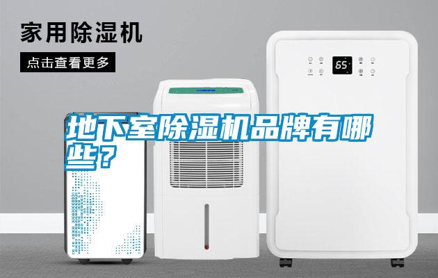 地下室除濕機(jī)品牌有哪些？