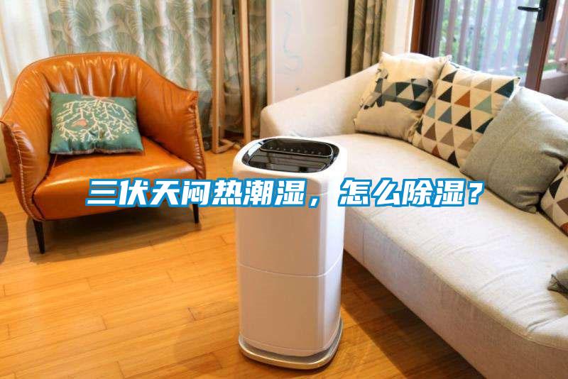 三伏天悶熱潮濕，怎么除濕？