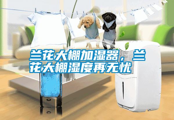 蘭花大棚加濕器，蘭花大棚濕度再無憂