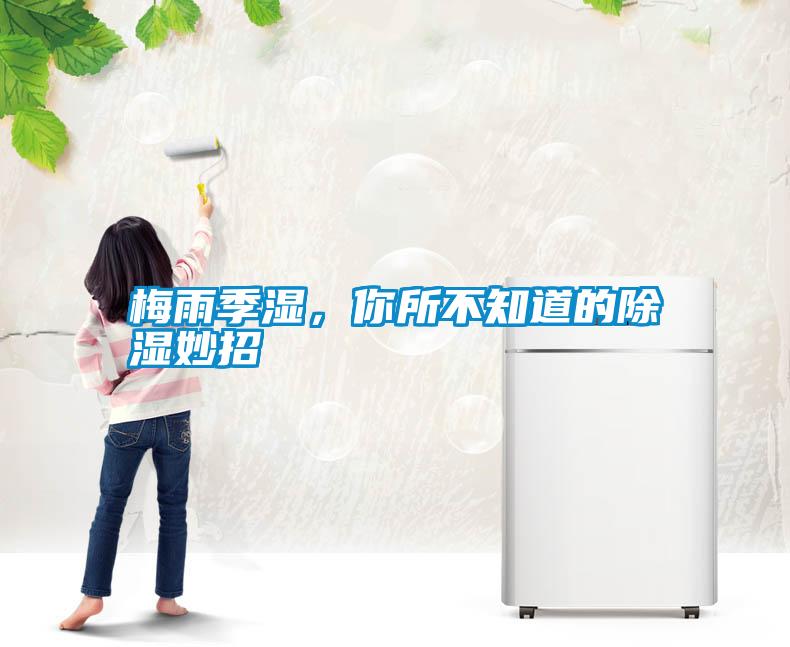 梅雨季濕，你所不知道的除濕妙招