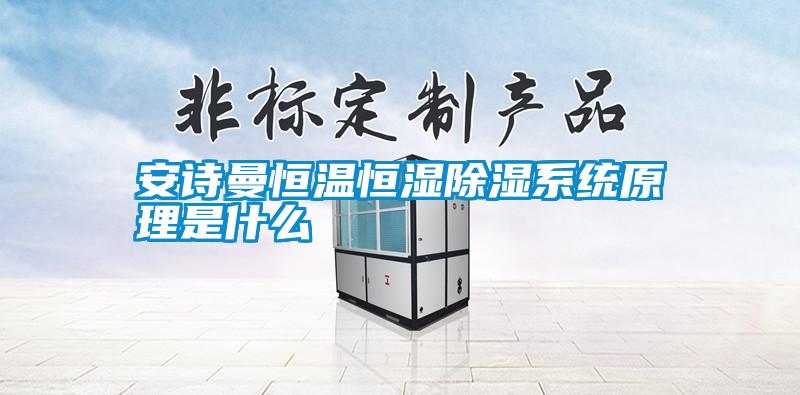 安詩(shī)曼恒溫恒濕除濕系統(tǒng)原理是什么