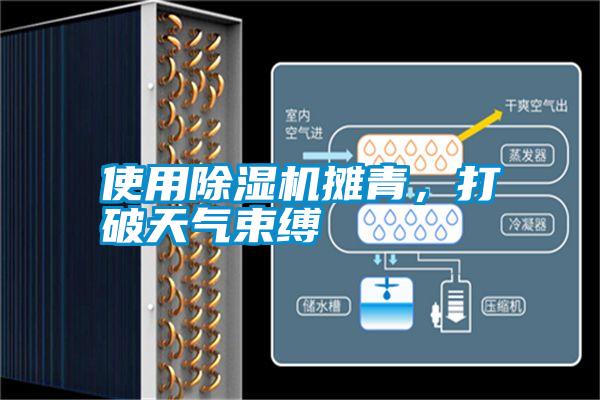 使用除濕機(jī)攤青，打破天氣束縛