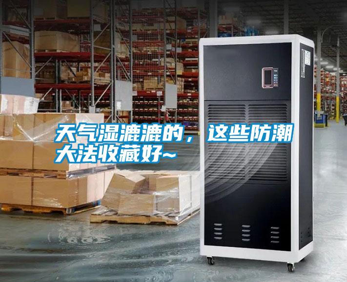 天氣濕漉漉的，這些防潮大法收藏好~
