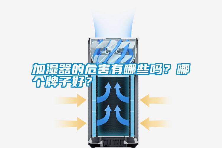 加濕器的危害有哪些嗎？哪個(gè)牌子好？