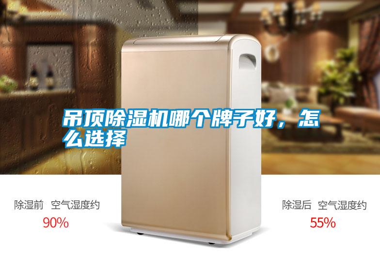 吊頂除濕機(jī)哪個(gè)牌子好，怎么選擇