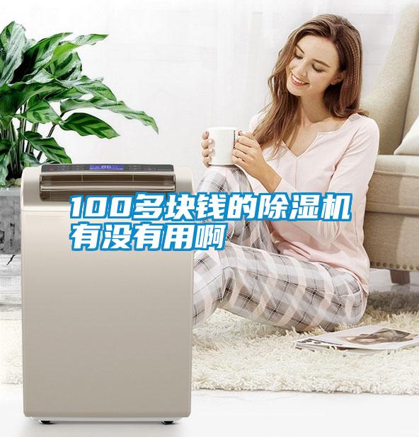 100多塊錢(qián)的除濕機(jī)有沒(méi)有用啊