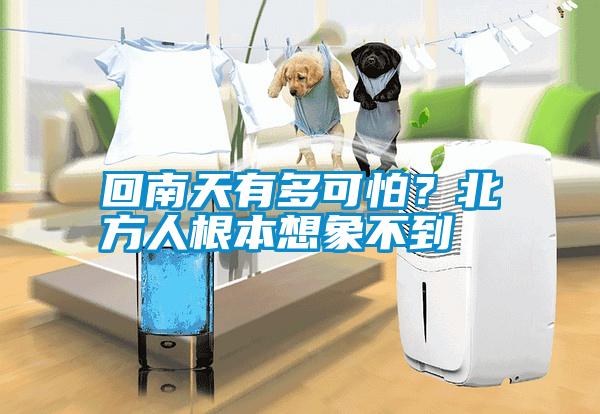 回南天有多可怕？北方人根本想象不到