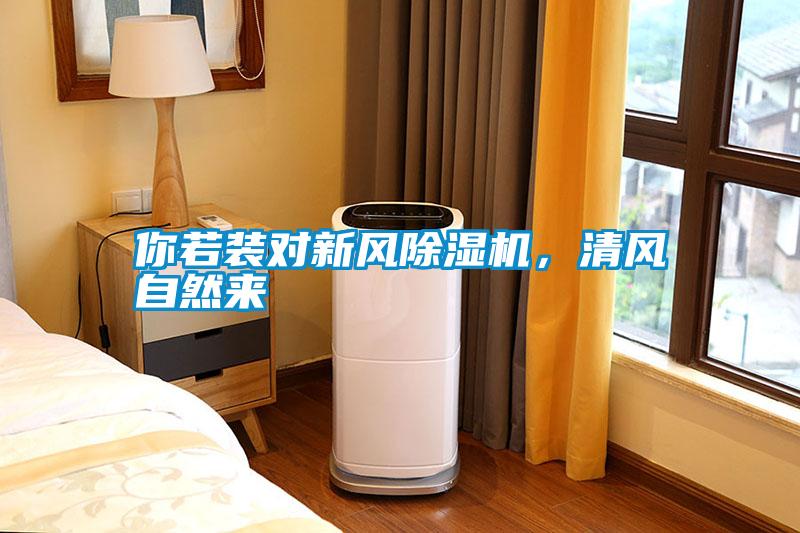 你若裝對(duì)新風(fēng)除濕機(jī)，清風(fēng)自然來(lái)
