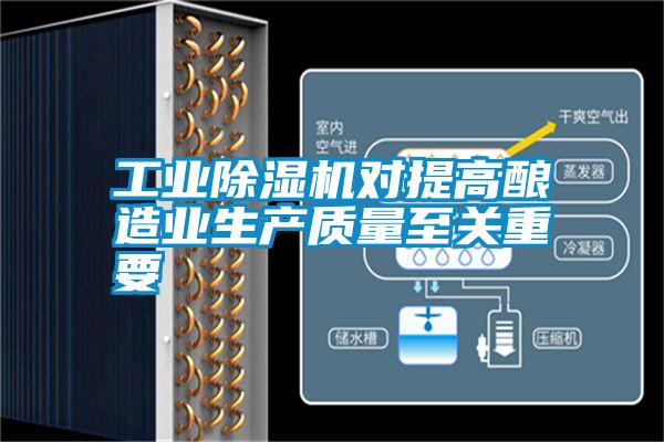 工業(yè)除濕機(jī)對提高釀造業(yè)生產(chǎn)質(zhì)量至關(guān)重要
