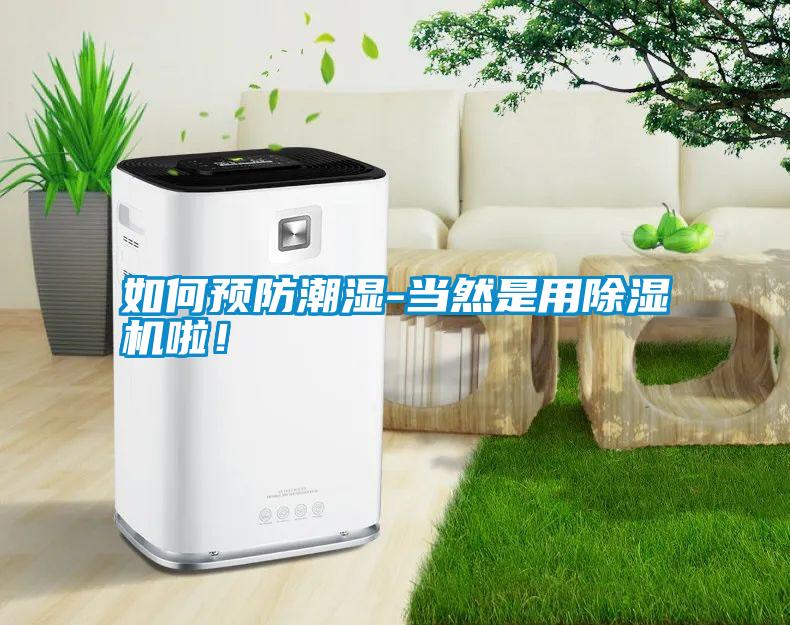 如何預(yù)防潮濕-當(dāng)然是用除濕機(jī)啦！
