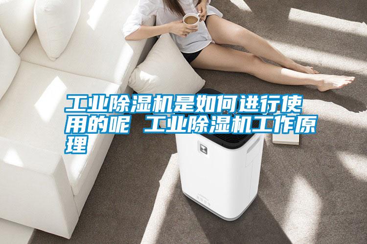 工業(yè)除濕機是如何進行使用的呢 工業(yè)除濕機工作原理