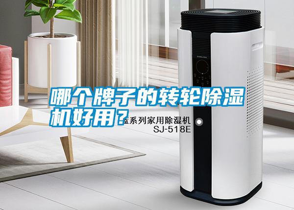 哪個(gè)牌子的轉(zhuǎn)輪除濕機(jī)好用？
