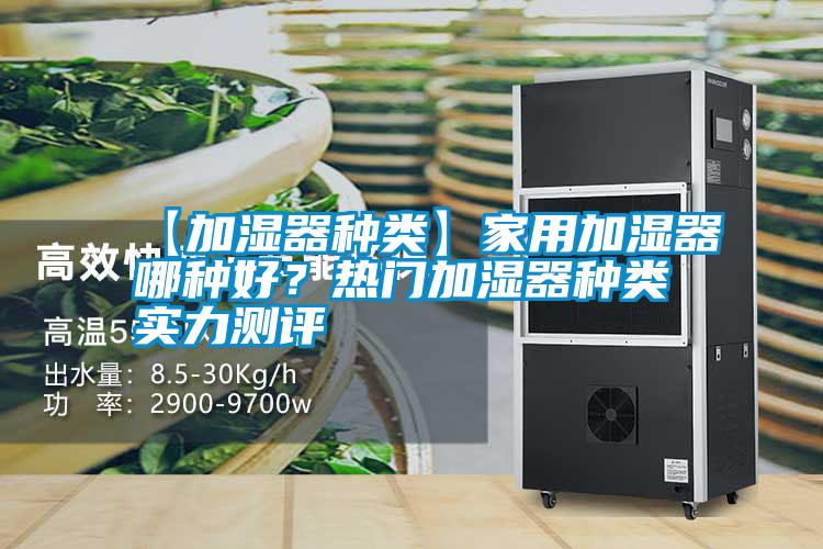 【加濕器種類】家用加濕器哪種好？熱門加濕器種類實力測評