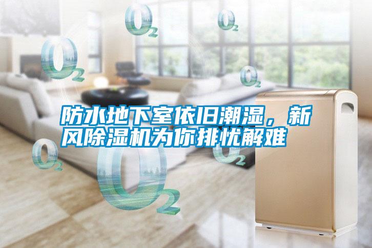 防水地下室依舊潮濕，新風(fēng)除濕機(jī)為你排憂解難