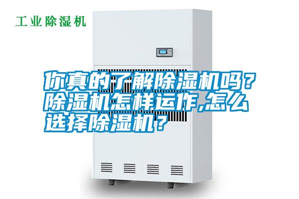 你真的了解除濕機(jī)嗎？除濕機(jī)怎樣運(yùn)作,怎么選擇除濕機(jī)？