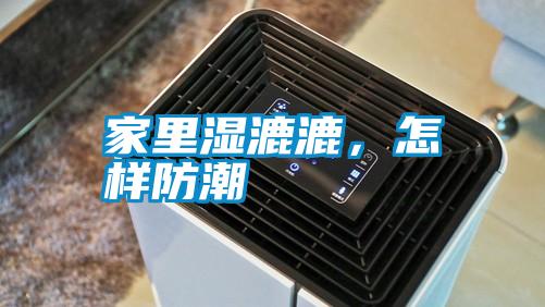 家里濕漉漉，怎樣防潮
