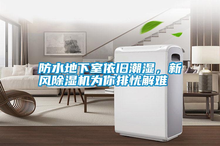 防水地下室依舊潮濕，新風除濕機為你排憂解難
