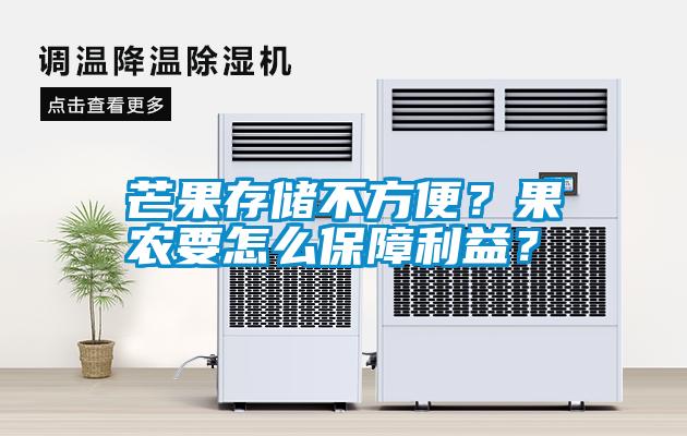 芒果存儲不方便？果農(nóng)要怎么保障利益？