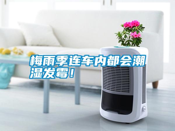 梅雨季連車內(nèi)都會(huì)潮濕發(fā)霉！