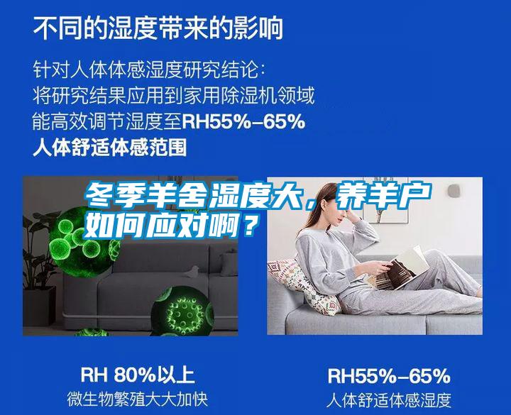 冬季羊舍濕度大，養(yǎng)羊戶如何應(yīng)對??？