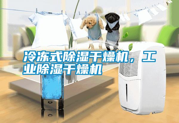 冷凍式除濕干燥機，工業(yè)除濕干燥機