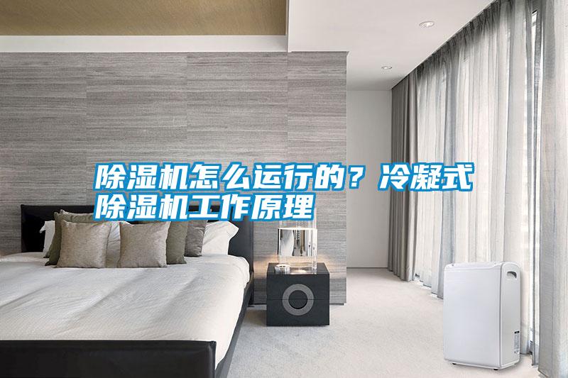 除濕機怎么運行的？冷凝式除濕機工作原理