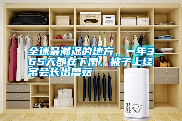 全球最潮濕的地方，一年365天都在下雨，被子上經(jīng)常會(huì)長(zhǎng)出蘑菇