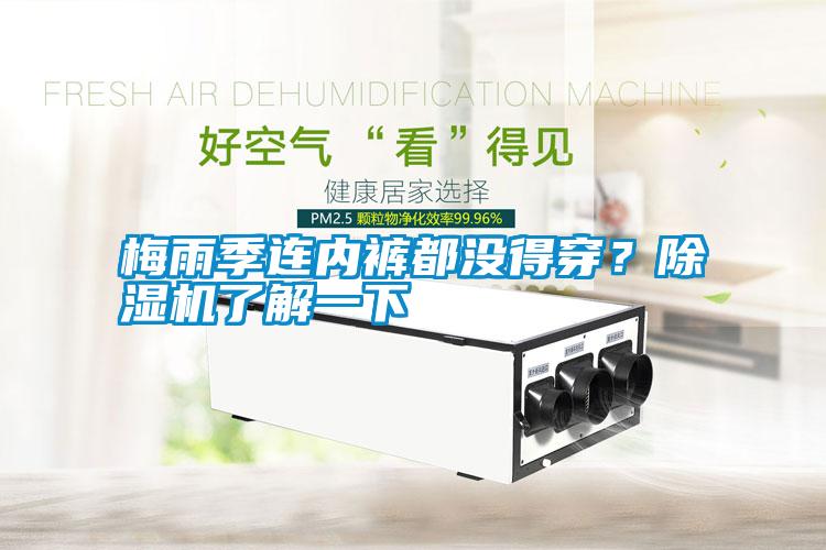 梅雨季連內(nèi)褲都沒得穿？除濕機(jī)了解一下