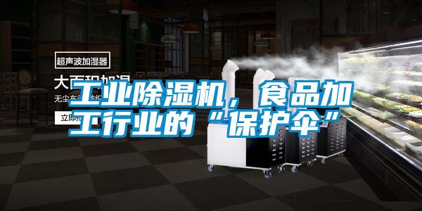 工業(yè)除濕機，食品加工行業(yè)的“保護傘”