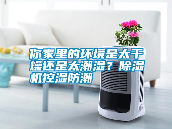 你家里的環(huán)境是太干燥還是太潮濕？除濕機(jī)控濕防潮