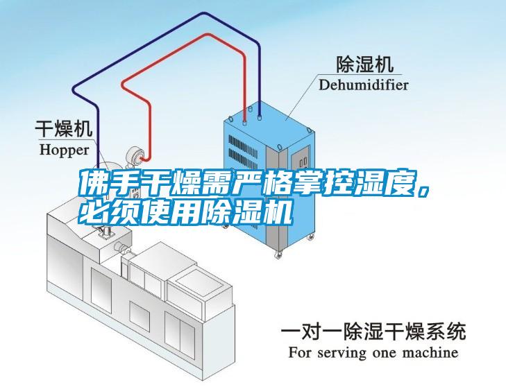 佛手干燥需嚴格掌控濕度，必須使用除濕機